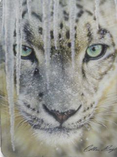 Obrázek z Magnet 3D 7x9cm - sněžný leopard (25) 